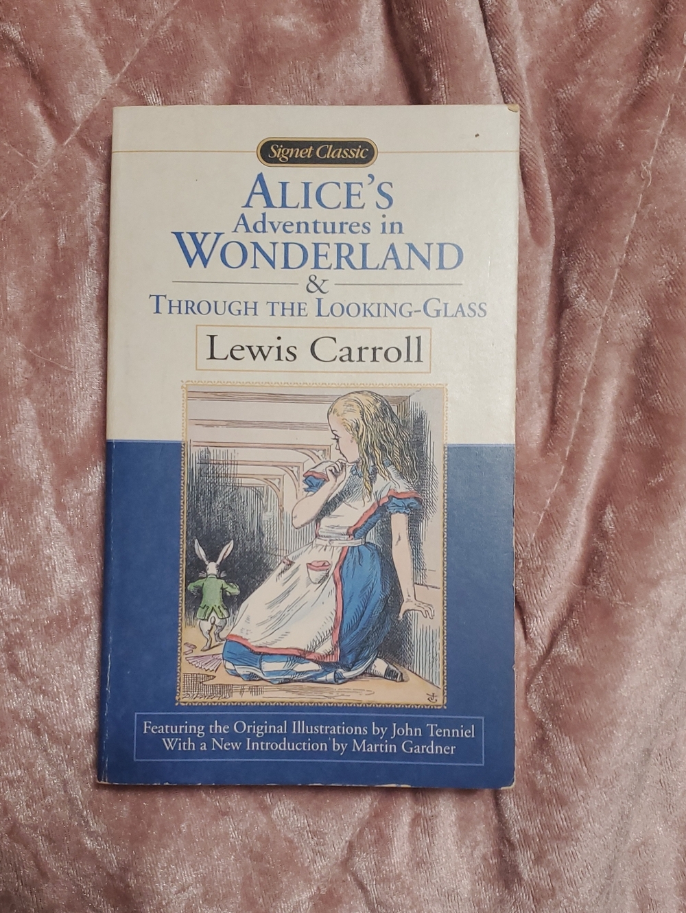 Alice's adventure in wonderland and through the looking glass by Lewis Carroll
